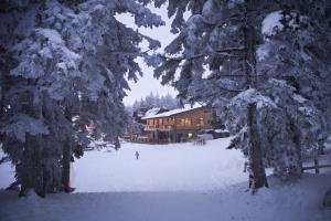 Kope Januar 2013 167